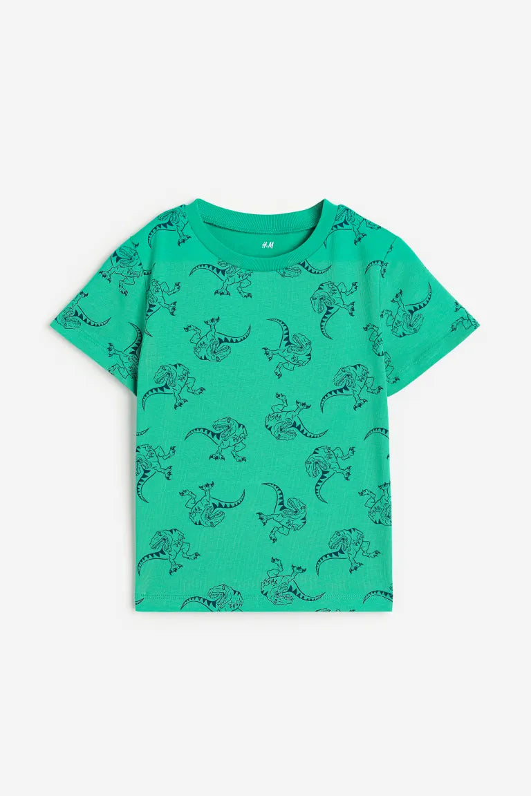 Camisa verde dinosaurios H M ni o Kima Shop HN