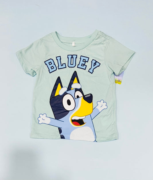 Camisa verde bluey niño niña