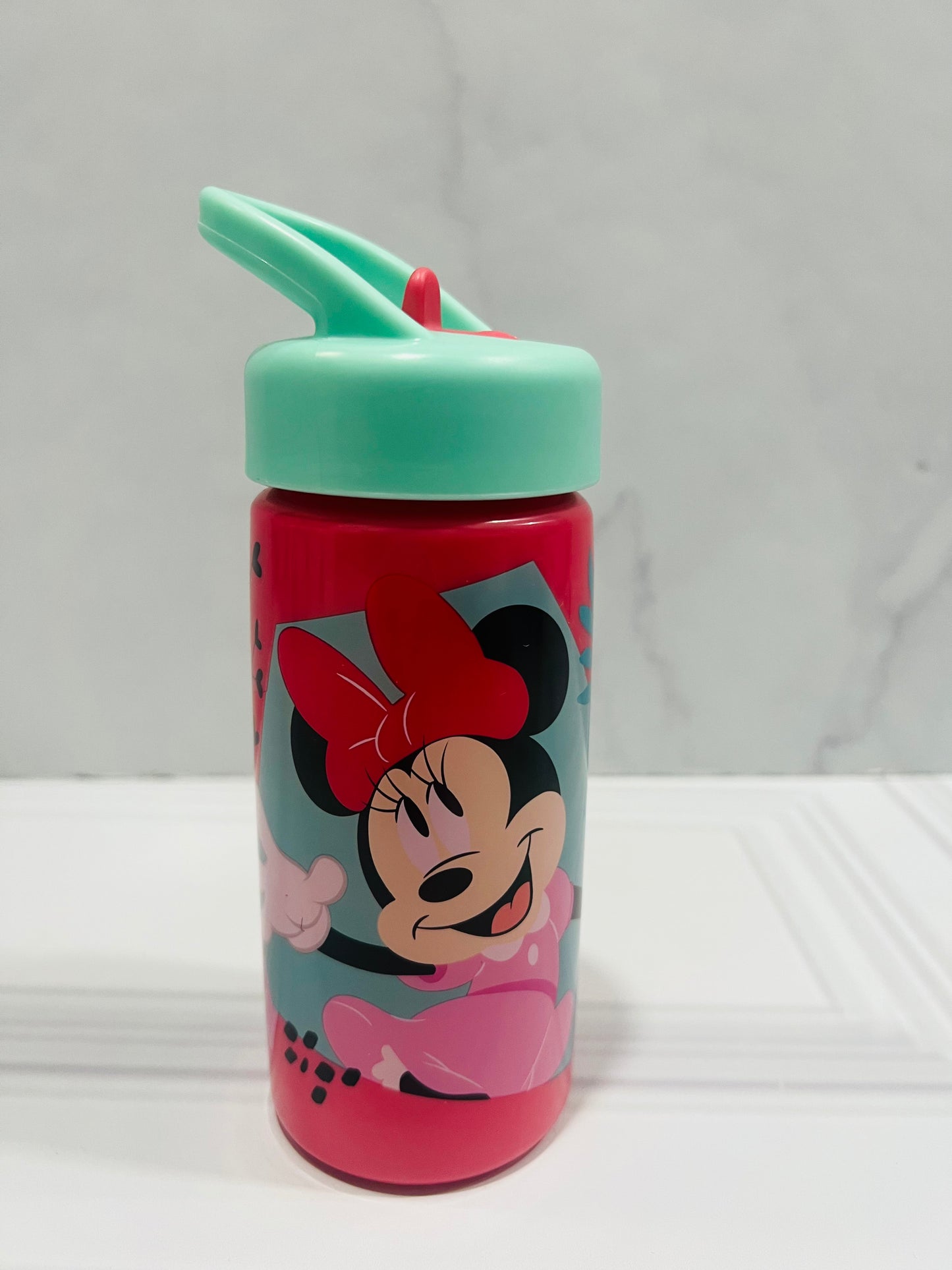 Termo Minnie Disney