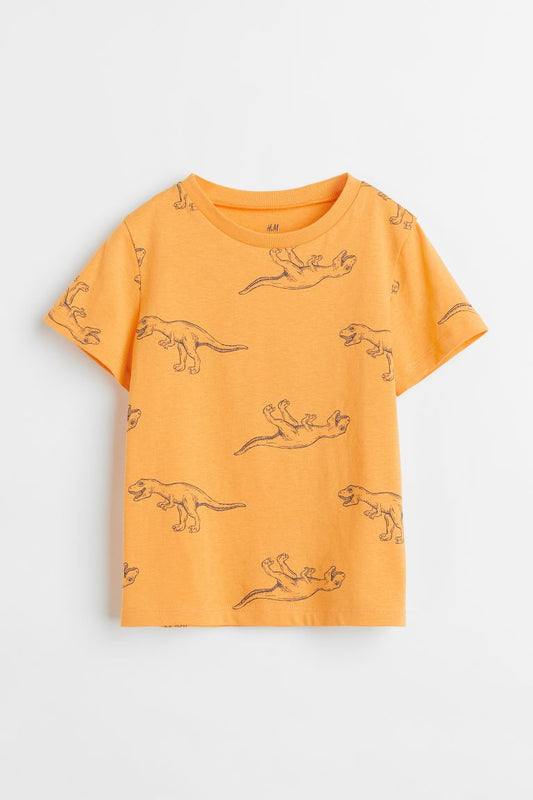 Camisa amarilla dinosaurios H&M niño