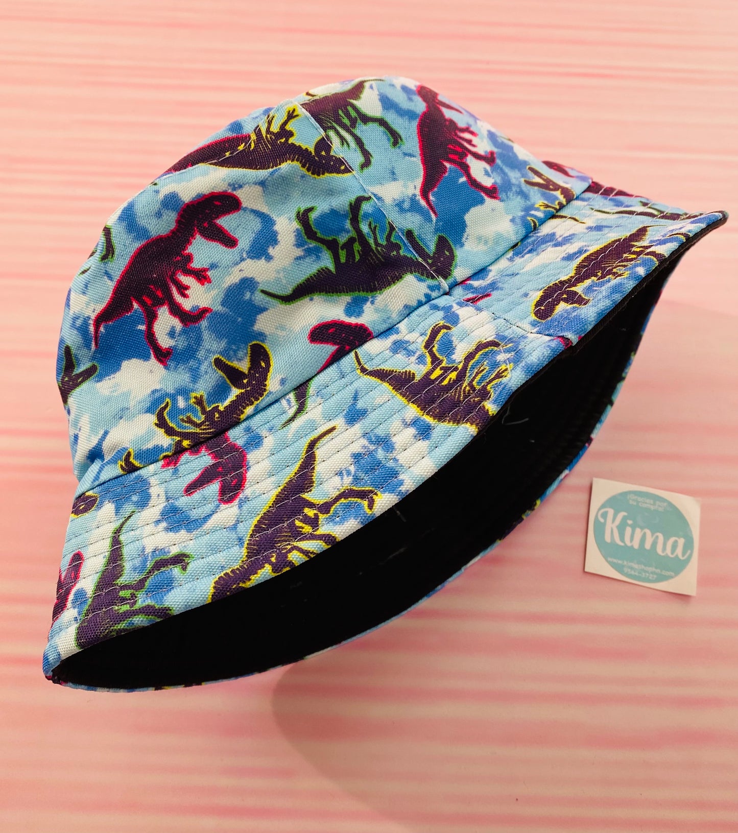 Sombrero azul  dinosaurio